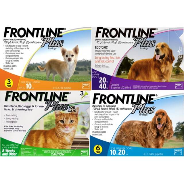 Thuốc Frontline Plus trị ve rận cho chó mèo