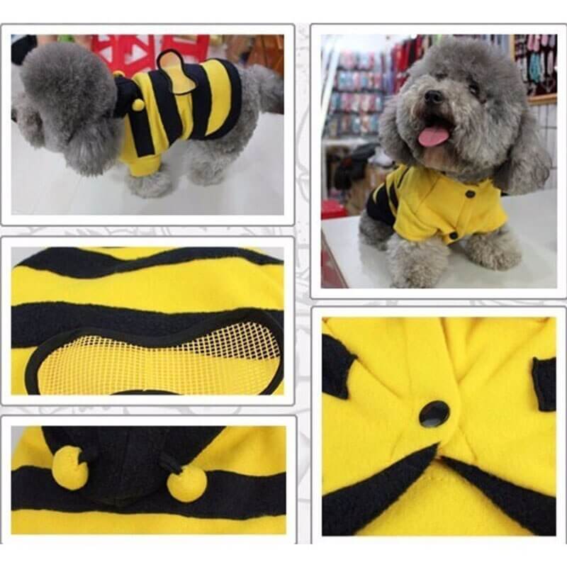 Áo chó mèo hình ong siêu xinh